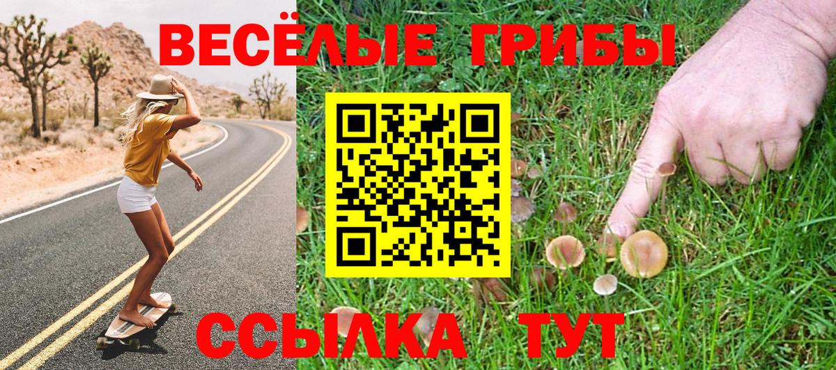 магазин    Вход с VPN  Электросталь  Псилоцибиновые грибы Cubensis 